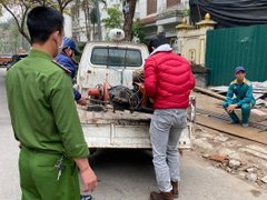 Post cover 1173287
